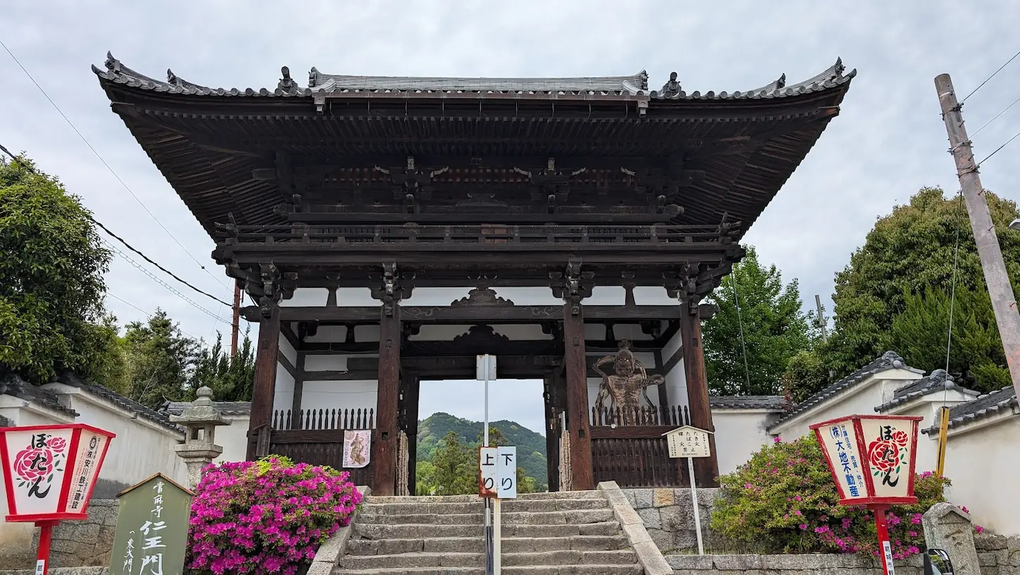 奈良・當麻寺の仁王門。重厚な木造の二重門で、左右には金剛力士像が安置され、手前の石段の両脇には「ぼたん」と書かれた赤い灯籠が並んでいる風景