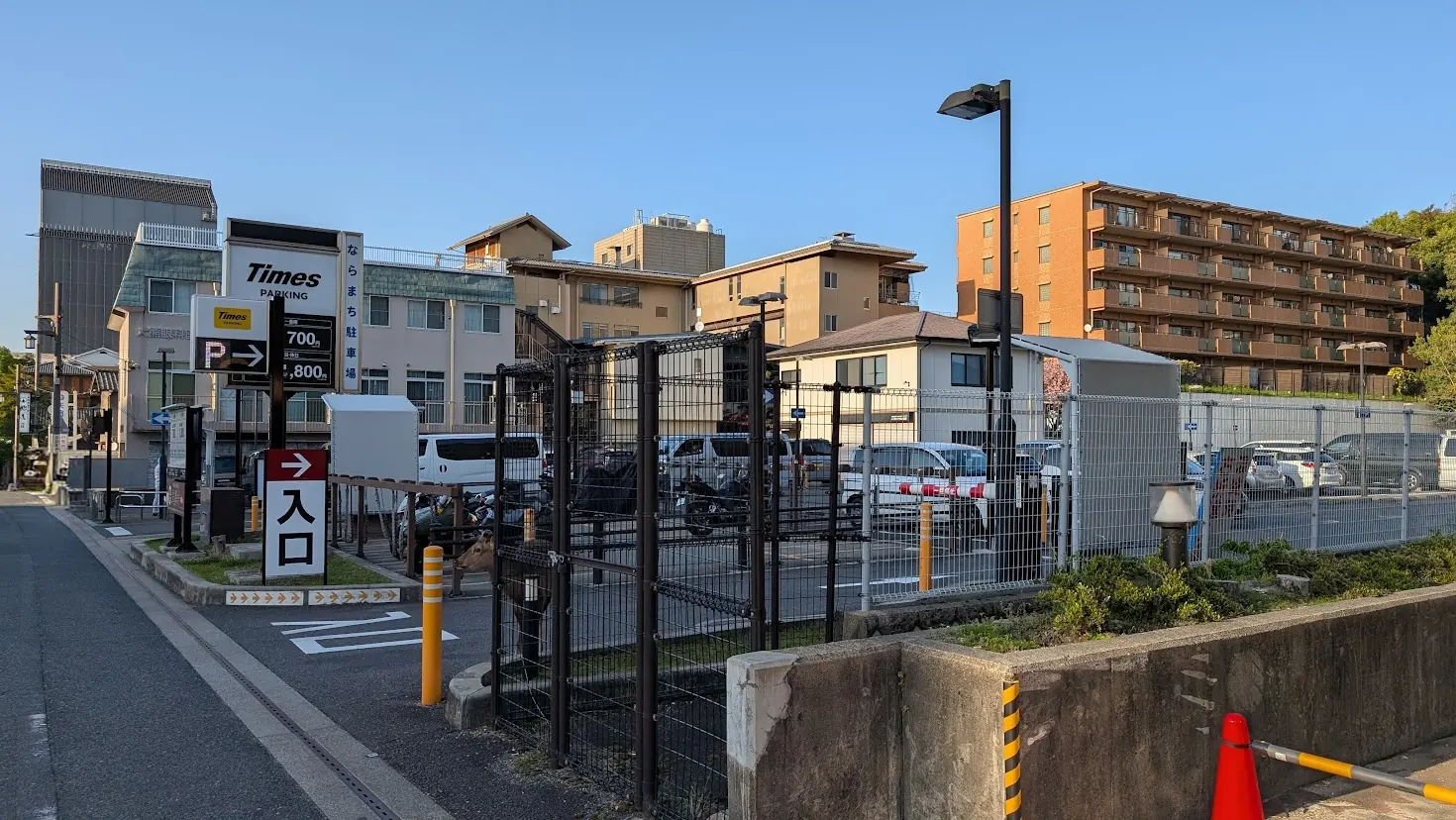 ならまちエリアにある「タイムズならまち」の入り口で、柵の間から顔を出す鹿の様子