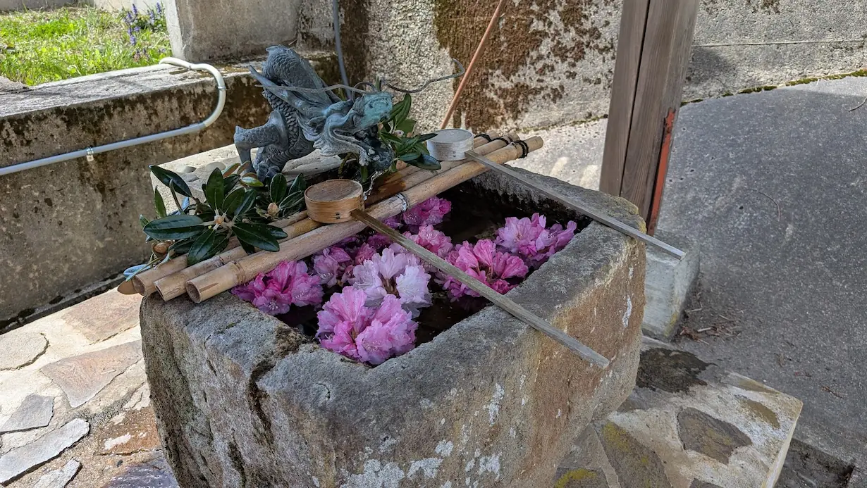 宇陀・弁財天の手水舎。石造りの手水鉢にピンク色のシャクナゲが浮かべられ、龍の彫刻から水が流れている風景