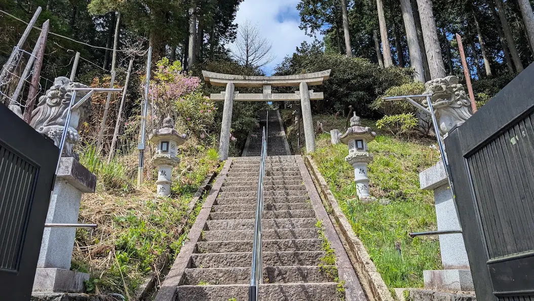 奈良・宇陀の弁財天 白龍大明神の入口。手前に石段があり、その先に石造りの鳥居と、さらに上へと続く階段、周囲の杉林が見える風景
