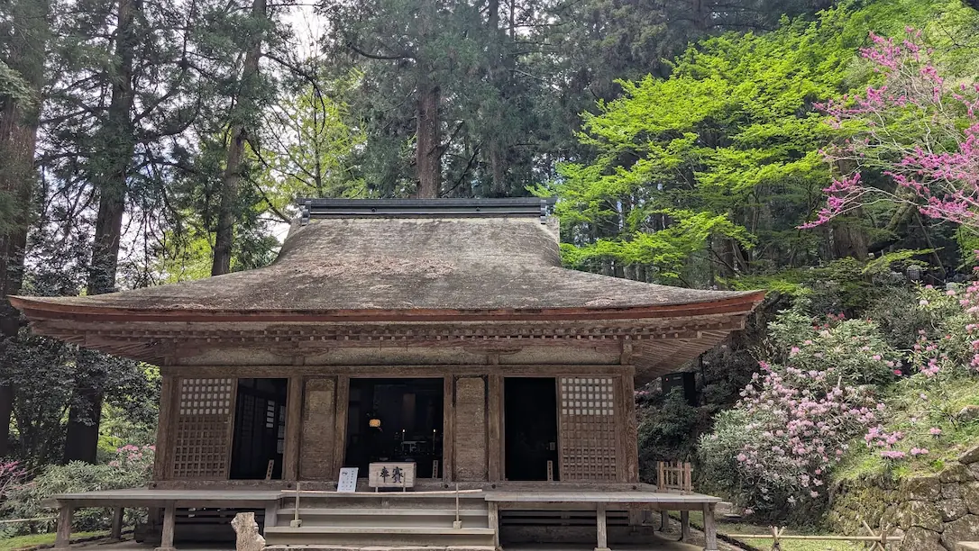 奈良・室生寺の重要文化財である弥勒堂。落ち着いた檜皮葺の建物の横に、ピンクのシャクナゲと瑞々しい新緑の木々が広がっている風景