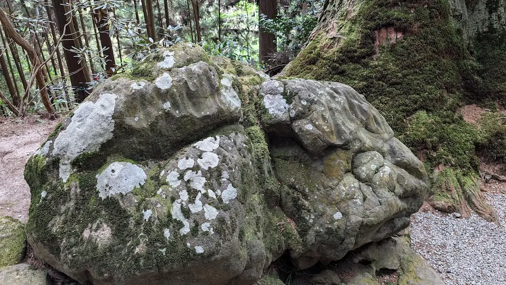 奈良・室生寺の奥之院へ続く参道脇に佇む、苔と地衣類に覆われた大きな岩。背後には深い杉林が広がっている