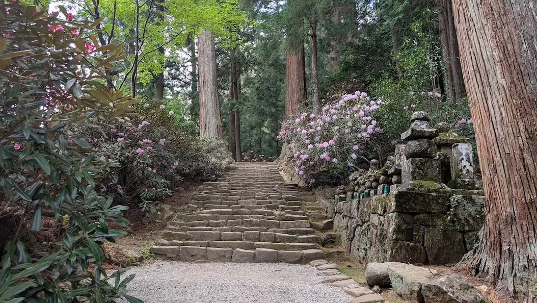 奈良・室生寺の奥之院へ続く自然石の長い階段。右側には古い石造の供養塔が並び、周囲を杉の巨木とシャクナゲの群生が囲んでいる風景