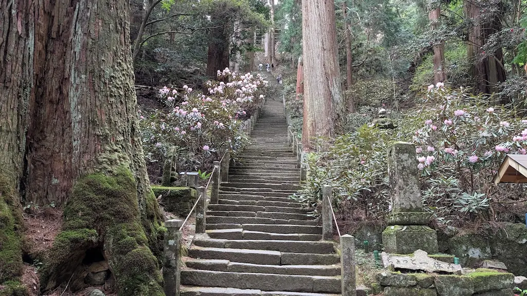 奈良・室生寺の奥之院へ続く、杉の巨木に囲まれた非常に長く急な自然石の階段。階段の途中に参拝者の姿が見え、その高低差が強調されている風景