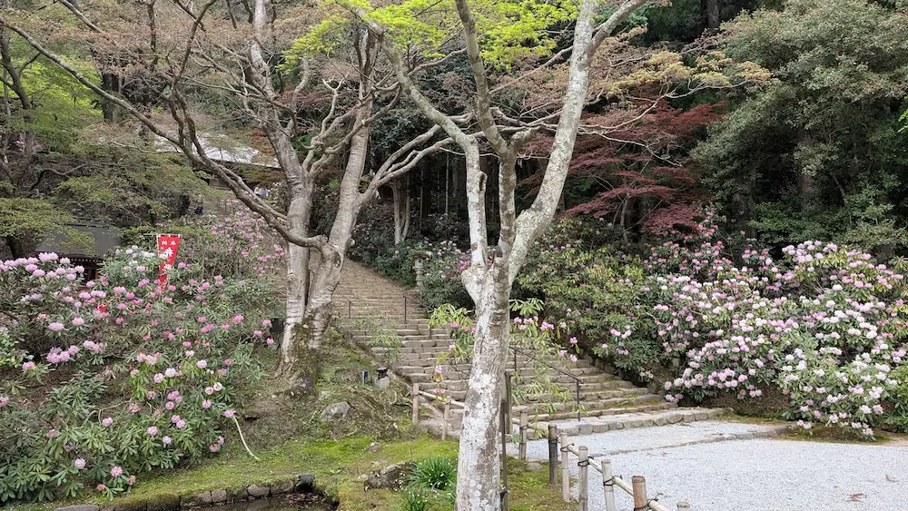 奈良・室生寺の仁王門を過ぎた場所から、手前に小さな池と木々があり、奥にシャクナゲに囲まれた鎧坂の石段が続く風景