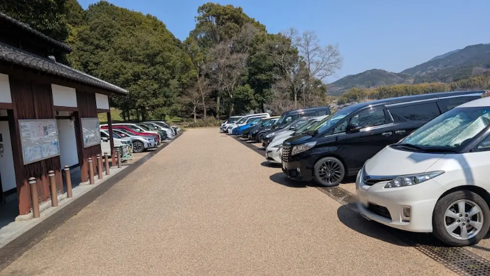 3月21日(土)午後1時頃の甘樫丘・川原駐車場。駐車場は完全に満車状態で、通路に空き待ちの車が並んでいる。周囲の木々は春の装いで、観光客の多さが伺える。