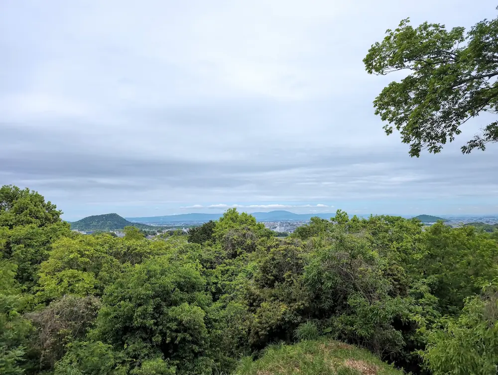 5月の川原展望台からの眺望。画面を埋め尽くすような鮮やかな新緑が広がり、生命力に溢れた初夏の景色。