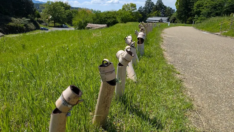 国営飛鳥歴史公園内の散策路沿いに設置された、飛鳥の風景に馴染む竹製の杭。
