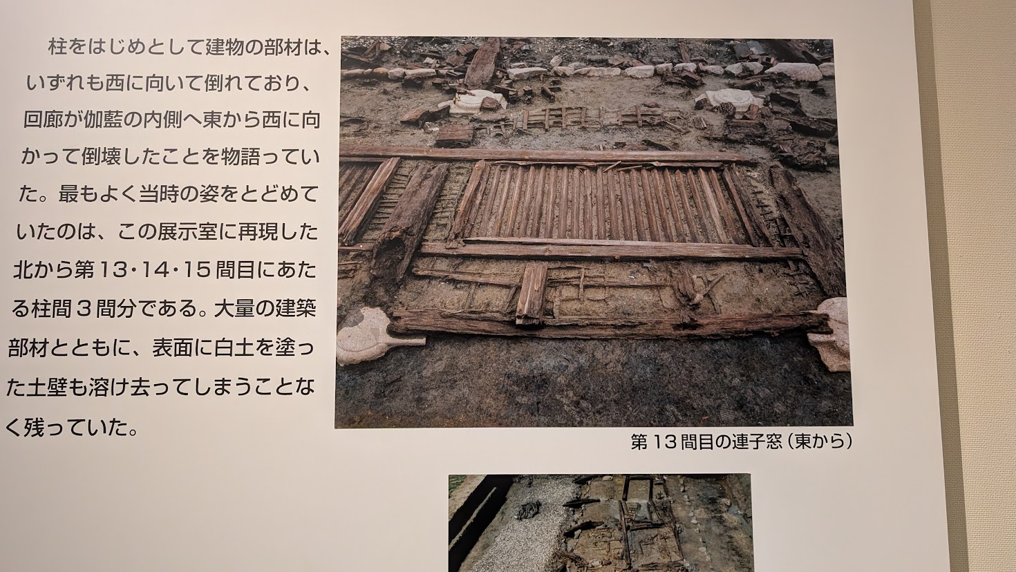 山田寺東回廊の発掘当時の様子を示す解説パネル。土の中に連子窓が「建ったまま倒れた」状態で埋まっている写真と、倒壊の経緯を説明するテキストが記載されている。