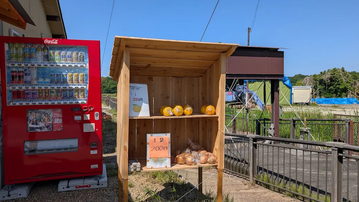 明日香村にある木製の無人販売棚。甘夏や玉ねぎが1袋200円で販売されている。隣には赤い自動販売機がある。