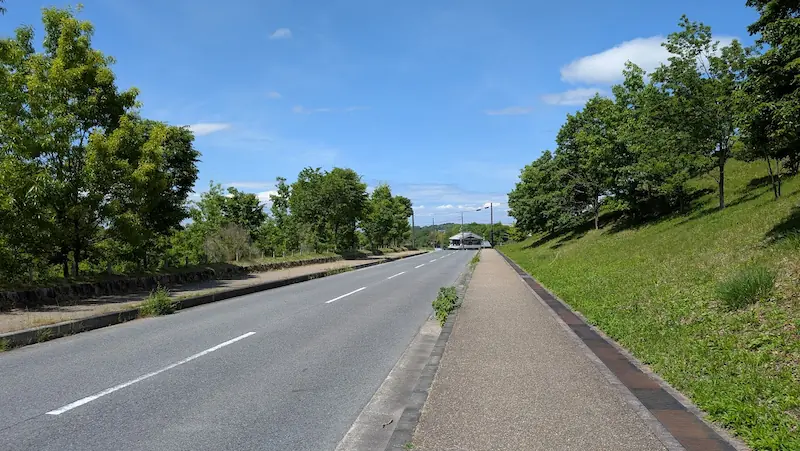 明日香村の、広々として歩道が整備された走りやすい道路。木々に囲まれた見通しの良い直線道路の様子。