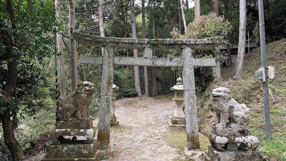 葛城水分神社の入り口に立つ石造りの鳥居と、その手前で鎮座する苔の付いた一対の狛犬。背景には深い杉林が広がる。