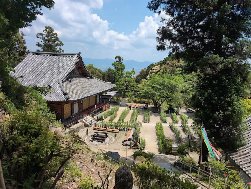 松尾寺の本堂と境内全景。手前にはたくさんのカサブランカの苗が整然と並べられ、背景には奈良盆地の山々が見える。