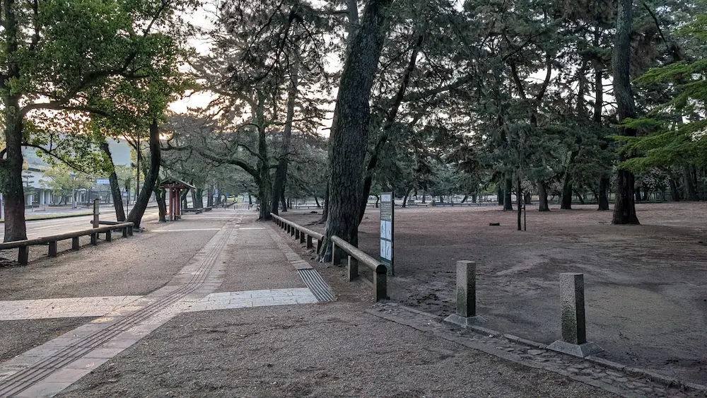 奈良公園の興福寺・県庁前付近のメインストリート。早朝のため観光客が一人もおらず、静まり返った並木道の風景