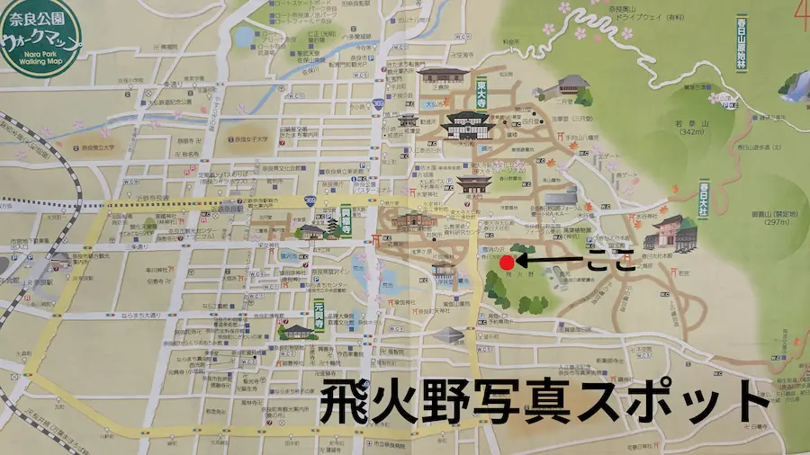 奈良公園の観光マップ。飛火野エリアの特定の場所に赤丸と矢印で「ここ」と記されており、下部に大きく「飛火野写真スポット」と文字が入っている