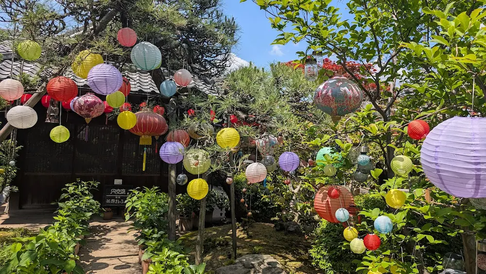 お房観音の日本庭園(円空庭)の様子。緑豊かな庭木や松の木の間に、紫、黄、ピンク、緑などカラフルで丸い提灯がたくさん吊るされている。奥には「茶房 おふさ」へ続く木造の建物が見える。
