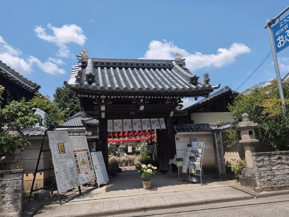 5月の快晴の空の下に佇むお房観音の山門。瓦屋根の上には金の鴟尾が輝き、門の前には各種案内板やパンフレットラック、白いバラの鉢植えが置かれている。門の奥には赤い提灯が並んでいるのが見える。