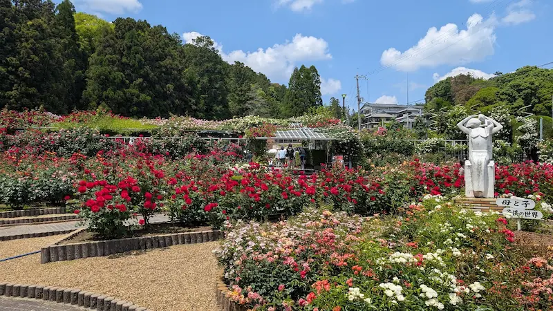 5月の満開の霊山寺バラ園。赤、ピンク、白と色とりどりのバラが一面に咲き誇り、右側には「母と子」の白い石像が立っている。背景には深い緑の山と青い空が広がる。