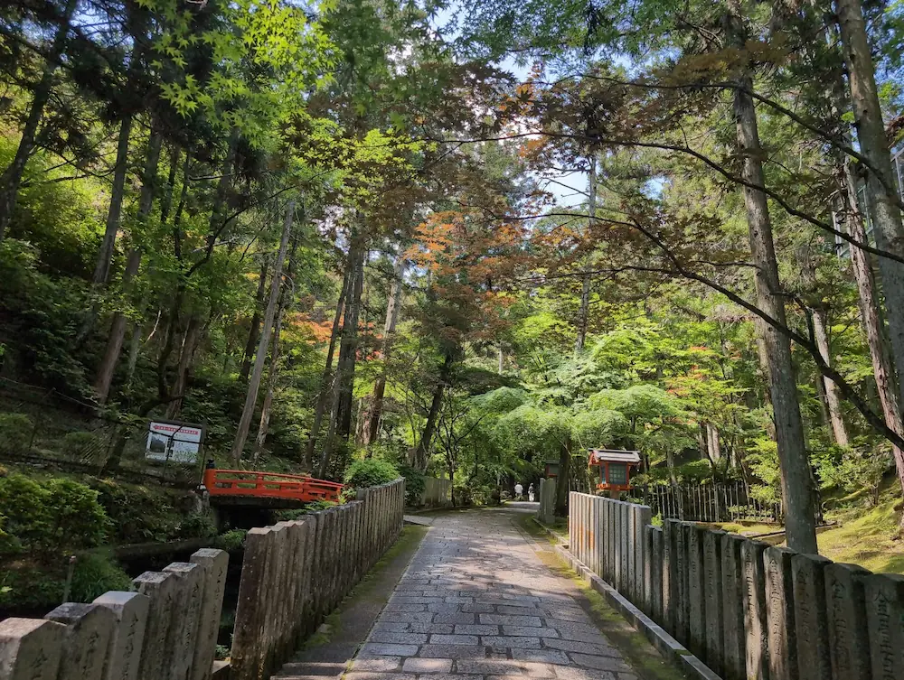 霊山寺の境内に続く石畳の参道。両脇には石碑が並び、頭上には瑞々しい新緑の木々が重なり合って天然のトンネルを作っている。左奥には朱色の小さな橋が見える。