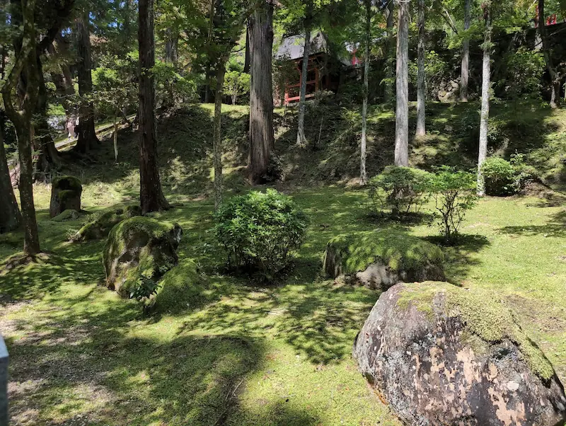 霊山寺の本堂へと続く、苔むした岩と高い木々に囲まれた参道。5月の強い日差しが木々の間から差し込み、瑞々しい苔の絨毯を照らしている。奥には朱色の建築物が小さく見える。