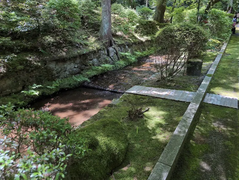 霊山寺の参道脇を流れる清らかな小川。石積みの護岸にはシダや苔が美しく着生し、5月の柔らかな木漏れ日が水面と苔の絨毯を照らしている。