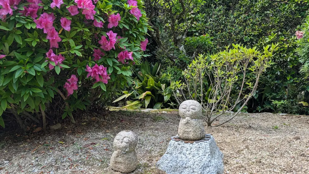 船宿寺の境内に並ぶ、二体の小さなお地蔵様の石像。左側には満開のピンクのツツジが咲き、お地蔵様の足元にはお賽銭が供えられている