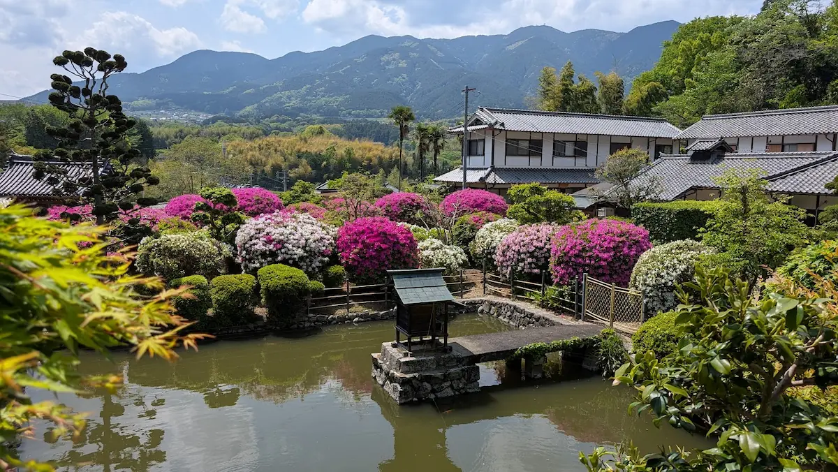 船宿寺の境内にある池と、満開のツツジ越しに望む美しい山々の風景