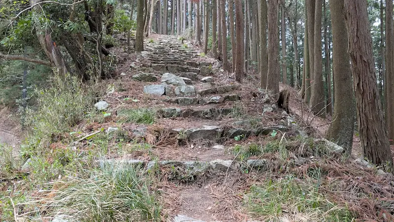 高取城跡の八幡神社へと続く、不揃いな石が積み上げられた急な石段。杉林の中にあり、石の間からは草が生え、落ち葉が散乱している野趣あふれる道のり。