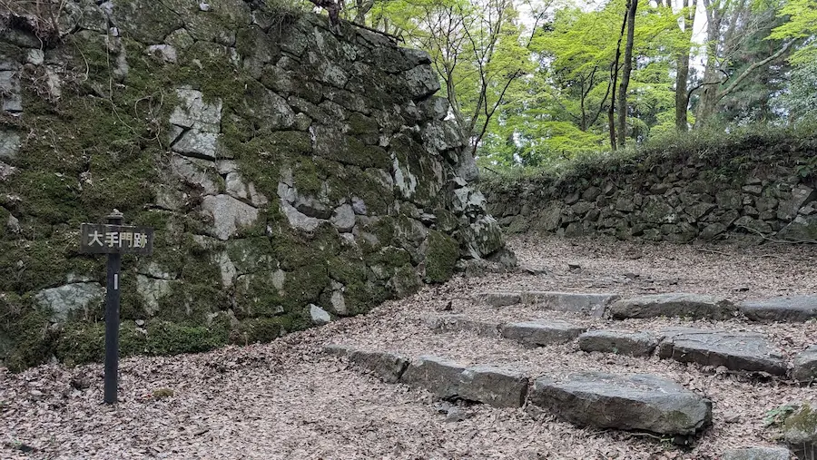 高取城跡の大手門跡にそびえ立つ、巨大な苔むした石垣。手前には「大手門跡」と書かれた木製の案内板があり、足元は平らな石段と大量の落ち葉に覆われている。奥には新緑の木々が見える。