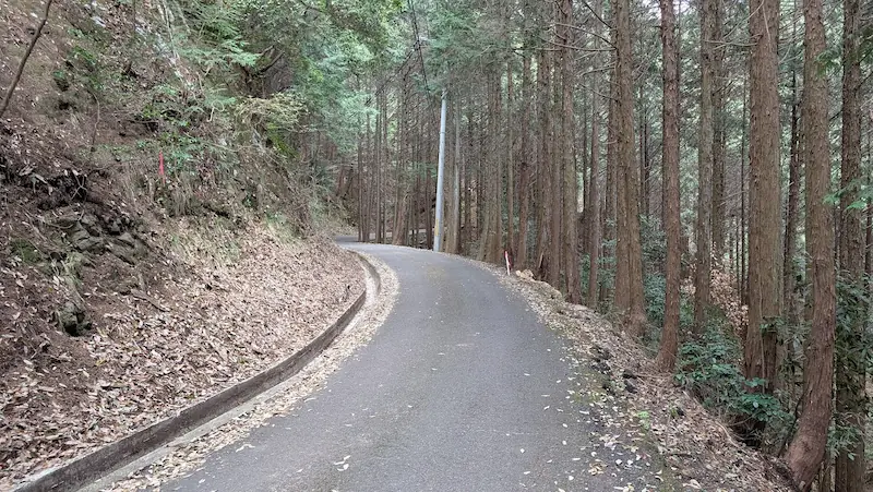 高取城跡へ続く、杉林に囲まれた非常に幅の狭いアスファルトの山道。急な右カーブになっており、左側は法面、右側は崖のような斜面になっている。車の離合は不可能な道幅。