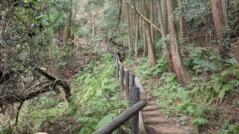宇陀松山城跡へ続く、傾斜の急な山道。細い土の階段の両脇には木製の柵が設置され、周囲には杉の木やシダ植物が密生している。