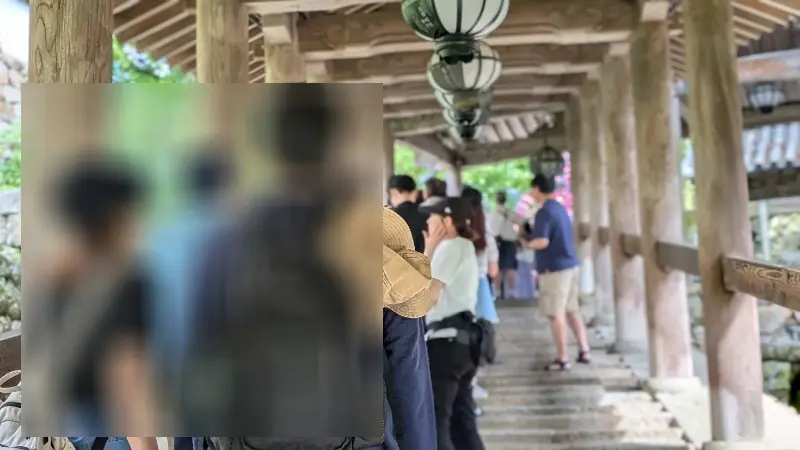長谷寺「嵐の坂（あぢさゐ回廊）」前で、撮影待ちのために並ぶ参拝客の列。