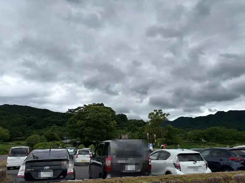 石舞台古墳の駐車場。曇り空の下、駐車スペースが埋まりつつあるやや混雑した様子