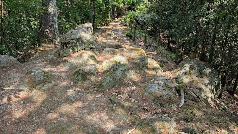展望台へ続く本格的な山道。大きな岩が露出し、起伏のある未舗装のハイキングコース。