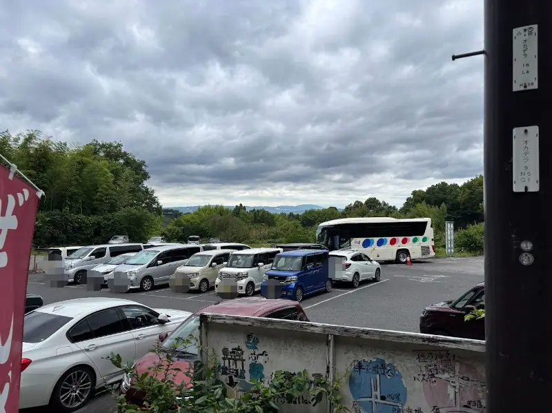 岡寺の参拝客向け民間第一駐車場の様子。観光バスや普通車が停まっている混雑時の全景