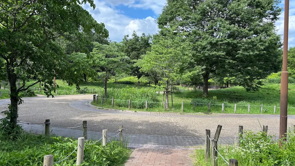 馬見丘陵公園の緑に囲まれた遊歩道。木々が木漏れ日を落とし、静かで穏やかな時間が流れる散策路の様子