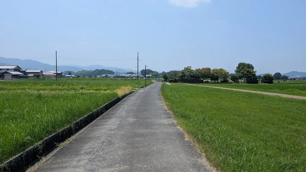 田園風景の中をまっすぐ伸びる、車1台がやっと通れる幅の舗装された細い農道の様子。