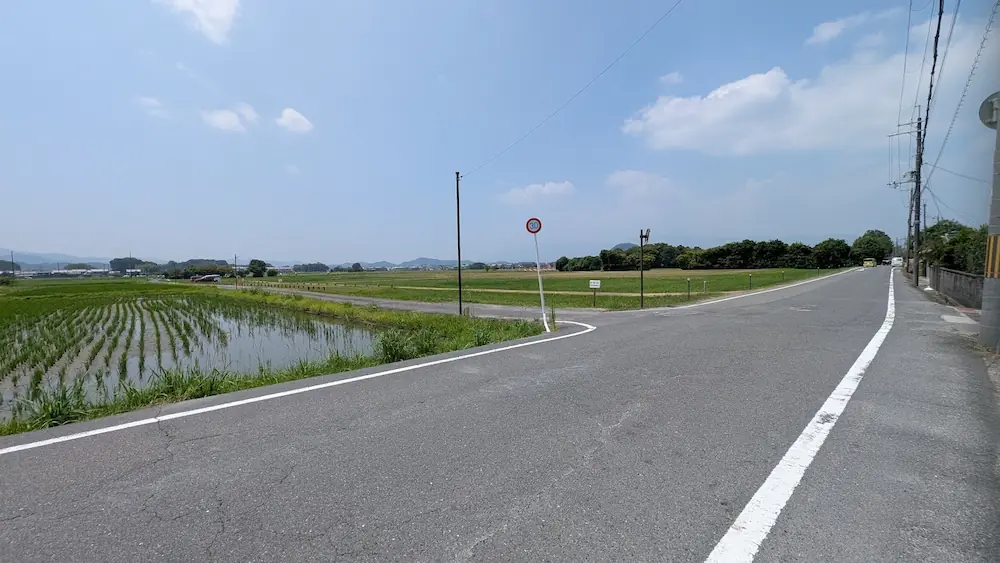 藤原宮跡近くの、田園風景が広がるアスファルト道路の様子。右側に桜井方面から橿原方面へ続く見通しの良い車道、左側に水田と奥に山々が望める。