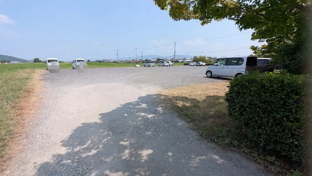 青空の下、舗装や白線がない砂利敷きの広大な藤原宮跡蓮池の最短臨時駐車場に、数台の車が間隔を空けて駐車されている様子。
