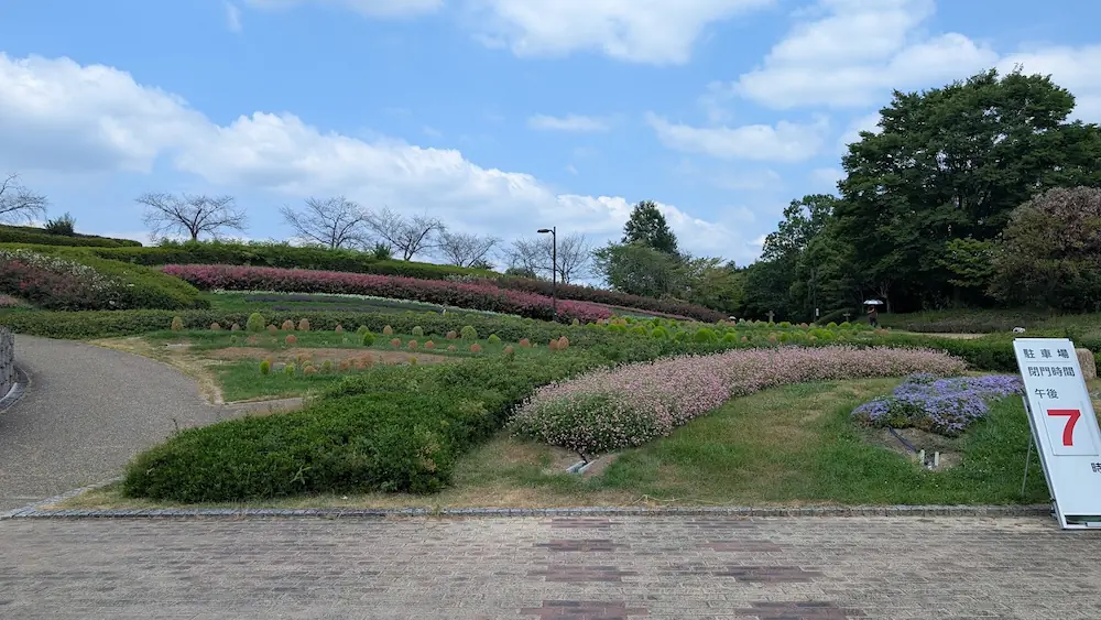 青空と白い雲が広がる馬見丘陵公園の丘陵地に、ピンクや紫色の花々や緑の植栽が段状に美しく整備されている様子。
