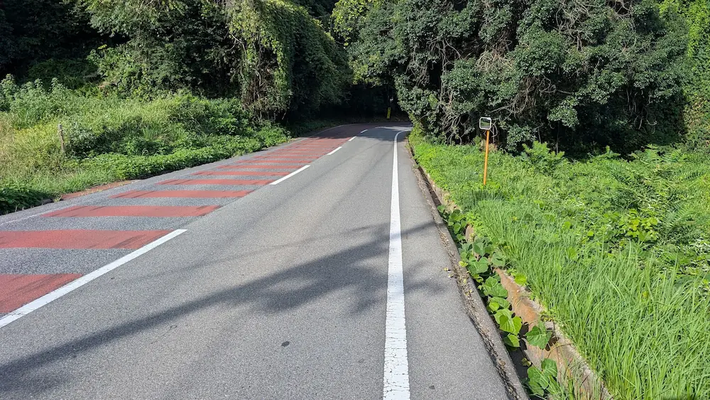 坂道を上り切った頂点から、木々に囲まれた下り坂へと続くアスファルトの道路の様子。