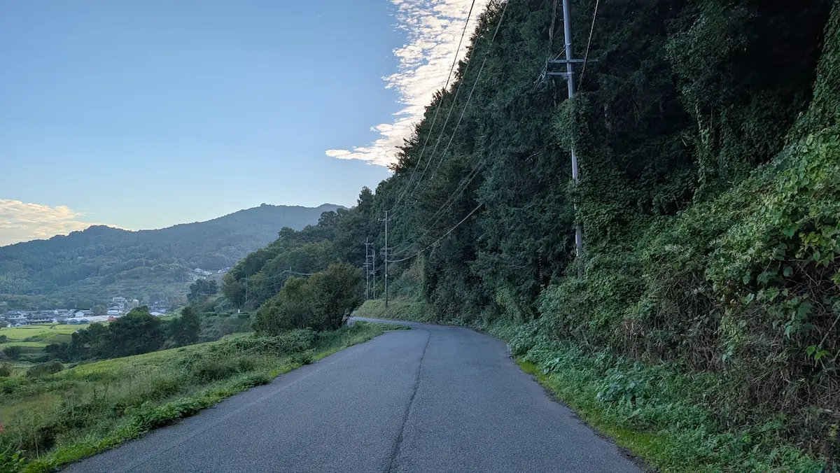 稲淵の案山子祭り開催時に一方通行規制となる、車一台がやっと通れるような狭いアスファルト道路の様子。